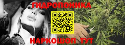 apvp Краснодар