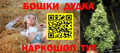 PSILOCYBIN Краснознаменск