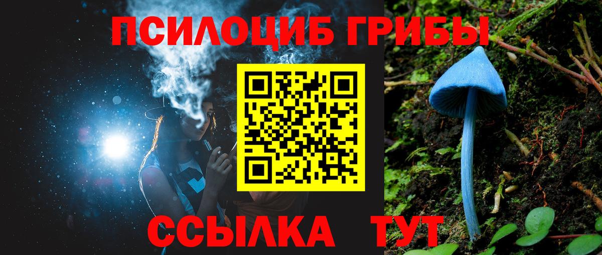 Жуковский  Галлюциногенные грибы Cubensis  Вход с VPN  Галлюциногенные грибы Magic Shrooms 